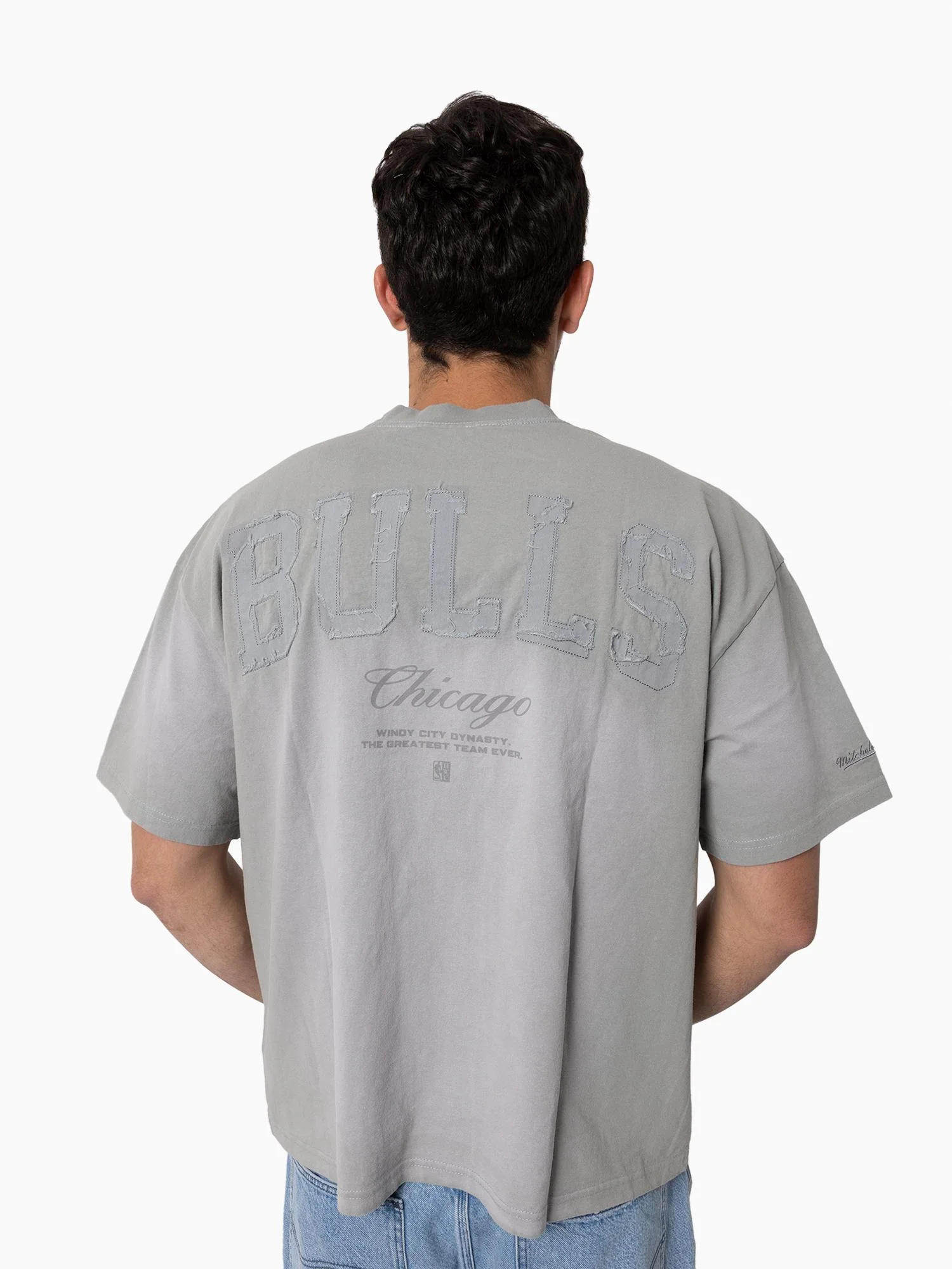 Chicago Bulls Big Oversized Logo Tee - Image 2